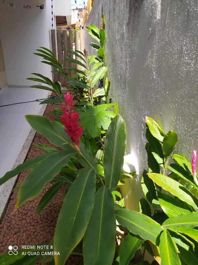 公寓 Praia Vista: Beachside With Pool And 24/7 Security